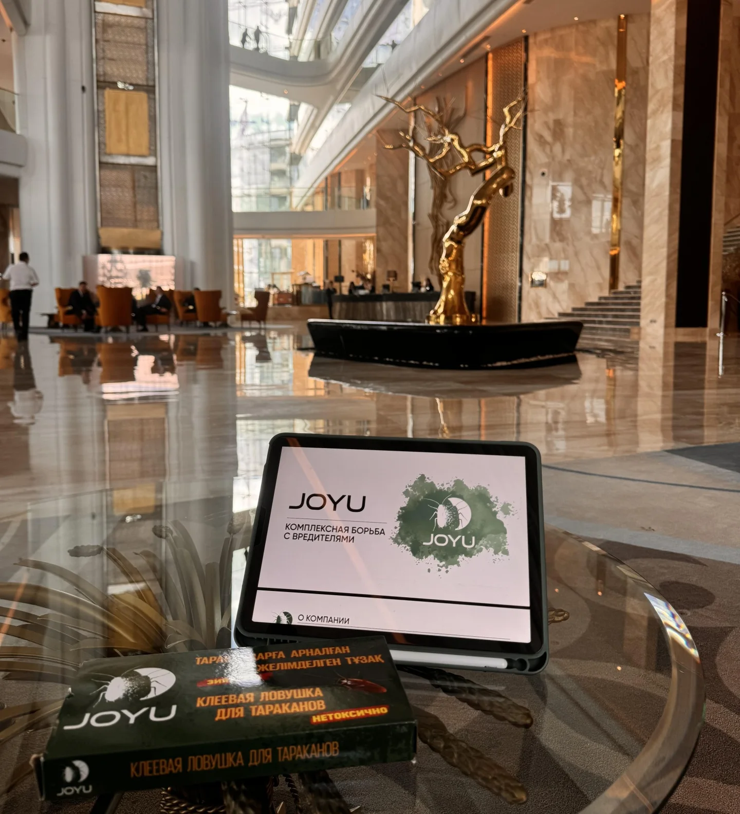 JOYU обслуживает объекты премиум-класса